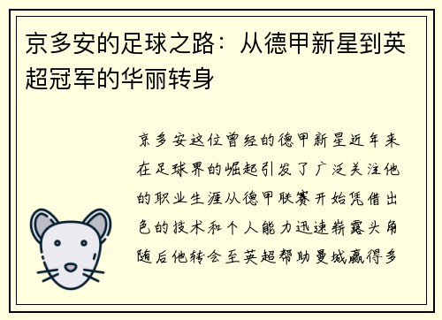 京多安的足球之路：从德甲新星到英超冠军的华丽转身